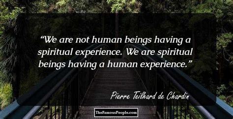 Quote we are not human beings having a spiritual experience - psadosong