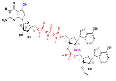 Guanosine triphosphate - Alchetron, The Free Social Encyclopedia