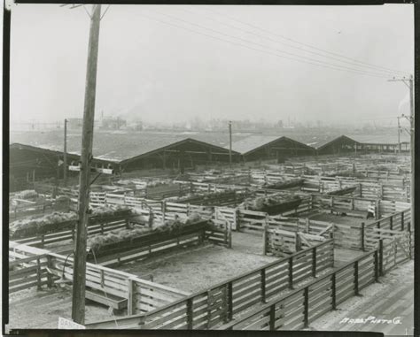 Stockyards - indyencyclopedia.org