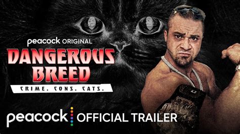 Teddy Hart Documentary Gets New Trailer, Release Date On Peacock