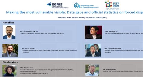 Making the most vulnerable visible: Data gaps and official statistics ...