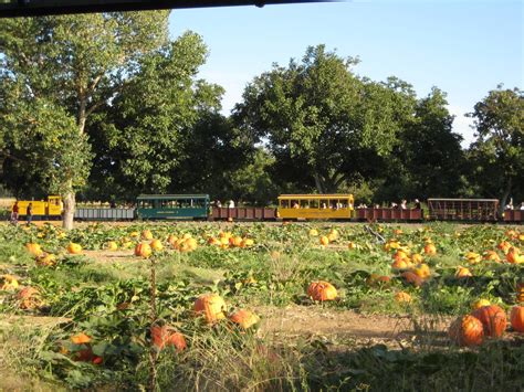 Welcome to the Mad House: Bishop's Pumpkin Farm