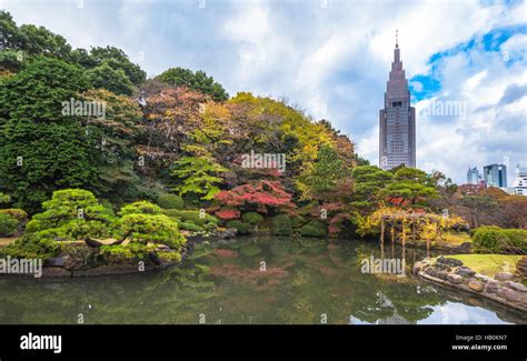 Shinjuku Gyoen Park in autumn, Tokyo, Japan Stock Photo - Alamy