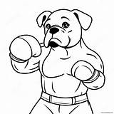Boxer In Action Coloring Page 7321 5839 sketch template