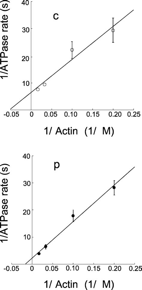 Actin-activated ATPase activity of human cardiac myosins.... | Download Scientific Diagram