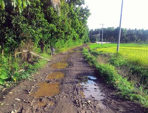 Spesial 54+ Pemandangan Jalan Yang Indah