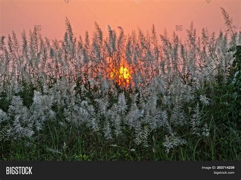 Stunning Sunset On Image & Photo (Free Trial) | Bigstock