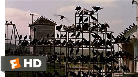 Crows on the Playground - The Birds (5/11) Movie CLIP (1963) HD - YouTube