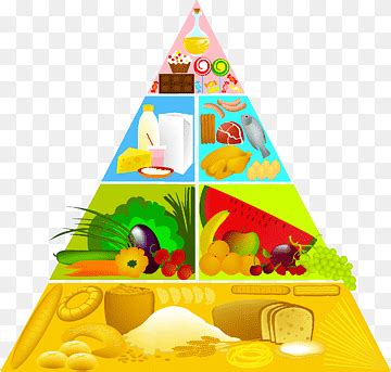 Cartoon Healthy Food Pyramid