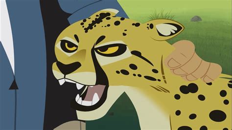 WILD KRATTS Cheetah Adopted - YouTube