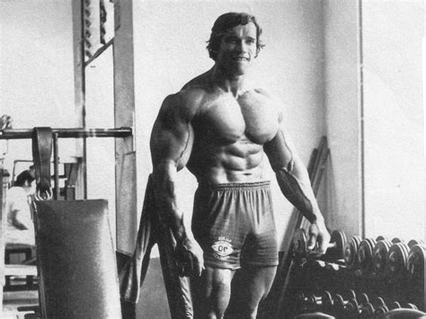 Arnold Schwarzenegger HD Wallpaper Free Download