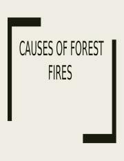 CAUSES OF FOREST FIRES.pptx - CAUSES OF FOREST FIRES STATISTICAL DATA ...