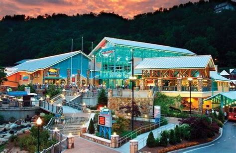 Gatlinburg fire: Ripley's Aquarium, Dollywood says all animals are safe ...