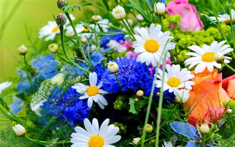 Bouquet Of Spring Flowers Hd Wallpaper - Desktop Background Flower Hd ...