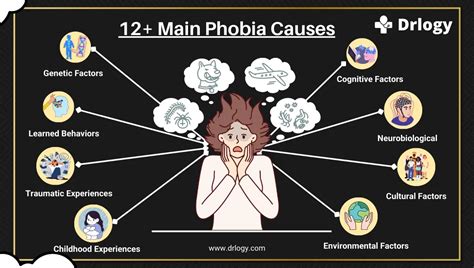 12 Main Phobia Causes For Simple and Complex Phobias - Drlogy