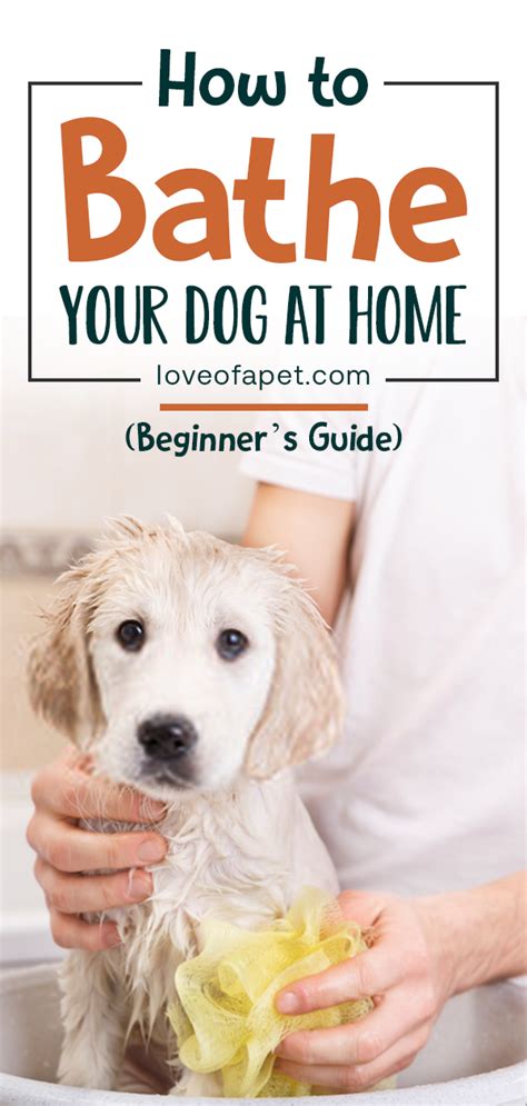 How to Bathe Your Dog at Home (Beginner's Guide) - Love Of A Pet | Dog cleaning, Dog bath, Dog ...