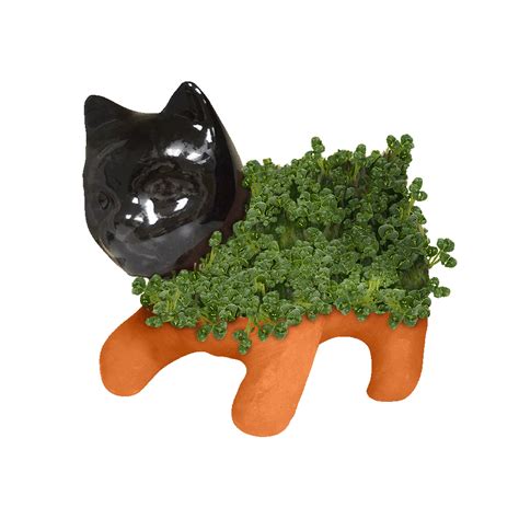 Chia Pets & Planters - Chia.com