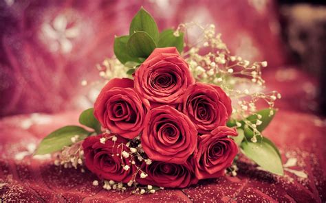 Red Rose Flowers Live Wallpaper - Home Alqu