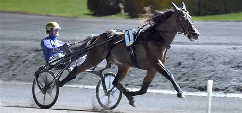 The Great Equestrian Events in France 2023 - ICON-ICON