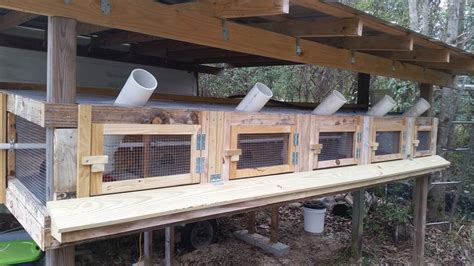 DIY Quail Cage 2.0 | BackYard Chickens - Learn How to Raise Chickens | Quail cage, Diy quail ...