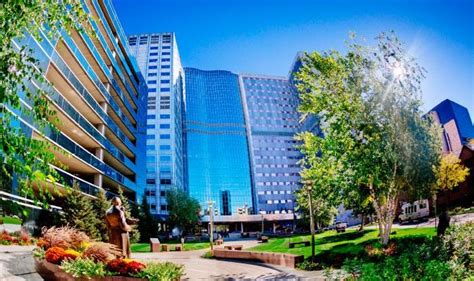 Mayo Clinic Cancer Center - NCI