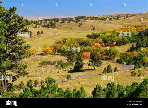 Wildlife Loop Road, Custer State Park, Black Hills, South Dakota, USA ...