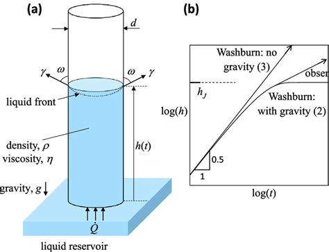 (a) Sketch of capillary rise in a vertical tube. (b) Sketch of the... | Download Scientific Diagram