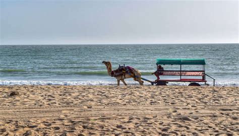 19 Most Beautiful Beaches In Gujarat For A Fun-Filled Vacation In 2023