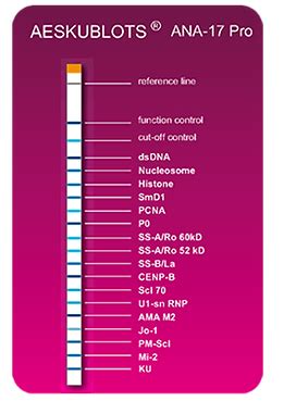 ANA 17 profile Immunoblot | Immunoshop