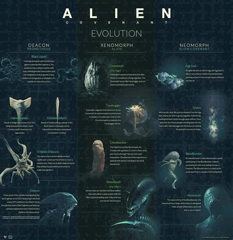 Pin by Tamura Hideo on SF | Alien, Alien covenant, Alien vs predator