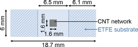 Aggregate-driven reconfigurations of carbon nanotubes in thin networks ...