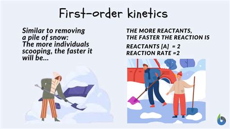 First-order kinetics Definition and Examples - Biology Online Dictionary