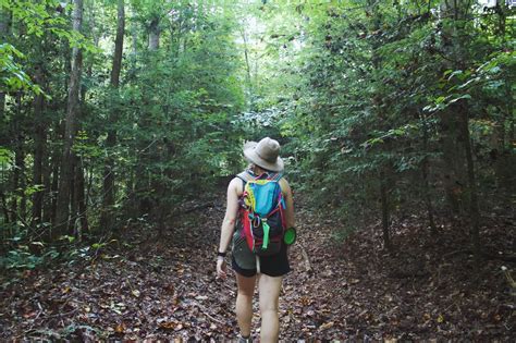 Wanderwege im Odenwald: die schönsten Touren der Region | Outdooractive