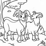 Three Billy Goats Gruff Coloring Page 52913 41856 sketch template