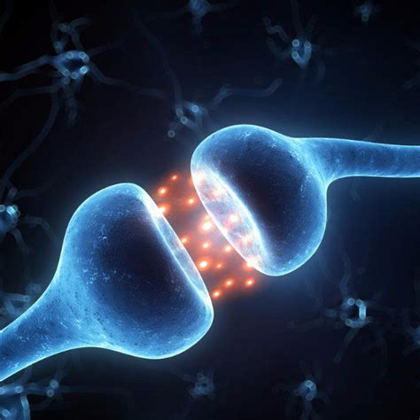 Hormone Receptor Sites (HRS) – Ergopathics