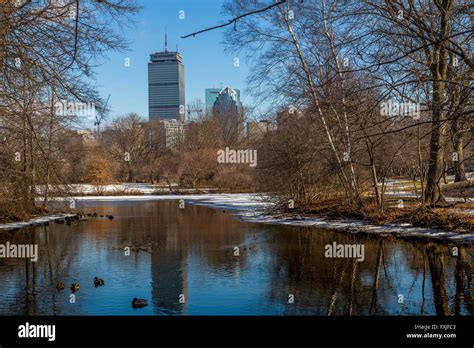 Prudential Tower from Back Bay Fens ,Boston Stock Photo: 102440131 - Alamy