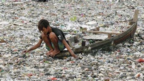 Plastic Bag Pollution - The Problem and Solutions