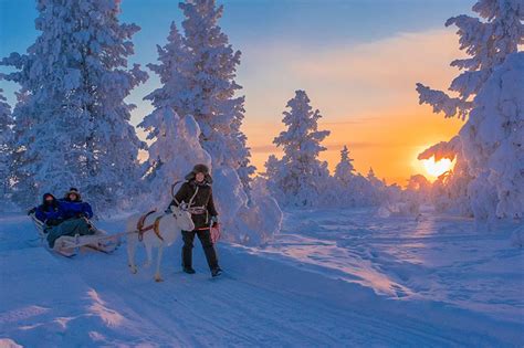 selection-of-activities-lapland | Star Arctic Hotel