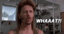 Joe Dirt Dang Gif