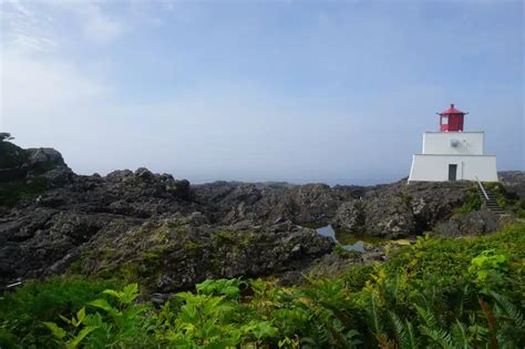 Tofino Camping Tour - West Trek | By DCT