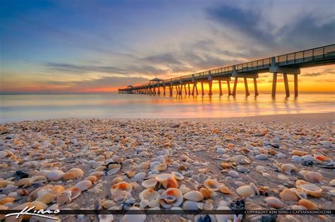 Juno Beach Pier Seashells at Beach Christmas Sunrise | HDR Photography ...