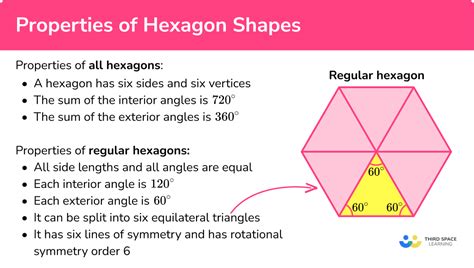 Hexagon Shape - GCSE Maths - Steps, Examples & Worksheet