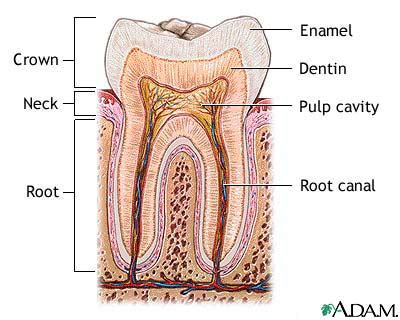 Amelogenesis imperfecta: Symptoms & Signs, Diagnosis & Test – Health32