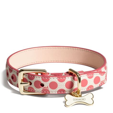 The Poppy Polka Dot Collar from Coach | Coach dog collar, Puppy ...