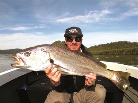 How to catch mulloway - Fishing World