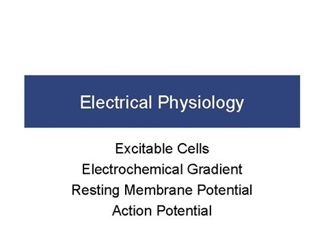 Electrical Physiology Excitable Cells Electrochemical Gradient Resting ...