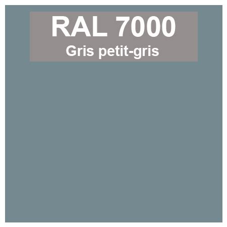 Teinte RAL par couleur dominante gris - Code peinture RAL