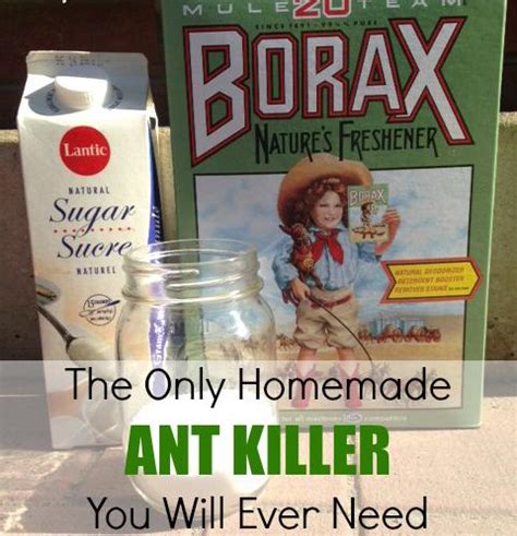 DIY Homemade Natural Ant Killer | Do it yourself ideas and projects