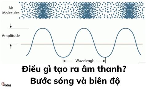 Âm thanh là gì? Cách hoạt động của âm thanh - Blog VietVocal