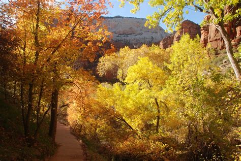 Zion National Park Fall Colors 2024 - Rove.me